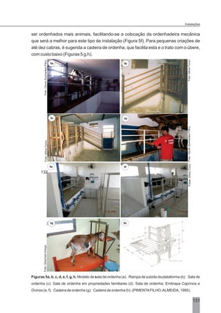 3131
ser ordenhados mais animais, facilitando-se a colocação da ordenhadeira mecânica
que será a melhor para este tipo de instalação (Figura 5f). Para pequenas criações de
até dez cabras, é sugerida a cadeira de ordenha, que facilita esta e o trato com o úbere,
com custo baixo (Figuras 5 g,h).
Figuras 5a, b, c, d, e, f, g, h. Modelo de sala de ordenha (a). Rampa de subida da plataforma (b). Sala de
ordenha (c). Sala de ordenha em propriedades familiares (d). Sala de ordenha, Embrapa Caprinos e
Ovinos (e, f). Cadeira de ordenha (g). Cadeira de ordenha (h). (PIMENTAFILHO;ALMEIDA, 1995).
Instalações
Fotos:SílviaTurco.
Foto:GhermanAraújo.
5f
5h5g
5e
132
Foto:ClovisGuimarãesFilho.
Foto:SílviaTurco.
Foto:SílviaTurco.
Foto:ClovisGuimarãesFilho.
5a
5d
5b
5c
 