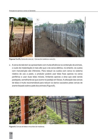 Fotos:PabloOliveira.
7a 7b
136
Produção de caprinos e ovinos no Semiárido
Figuras 7a e7b, Cerca de vara (a). Cercas de madeira e vara (b).
e. Acerca de tela tem se apresentado com muita eficiência na contenção de animais,
o custo de implantação é mais alto que o da cerca elétrica, no entanto, os custos
com manutenção são inferiores. Para reduzir os custos com cerca no sistema
rotativo de uso a pasto, o produtor poderá usar telas fixas apenas na cerca
periférica e usar duas telas móveis, limitando apenas a área que está sendo
pastejada, semelhante ao que ocorre no pastejo em faixas.Autilização das cercas
de telas é muito recomendável para reduzir os danos causados pelas cercas de
arame farpado sobre a pele dos animais (Figura 8).
Figura 8. Cercas de telas e mourões de madeiras.
 