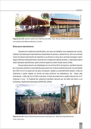 3125
Figuras 2a e 2b. Aprisco rústico com cobertura de palha. Foto: Santos (2004) (a), Aprisco de alvenaria
com cobertura de telhas cerâmicas, Univasf.
Baias para reprodutores
Quando em sistemas tecnificados, em que se trabalha com estações de monta,
utilizam-se baias para reprodutores separadas do aprisco, desta forma, tem-se controle
maior do desenvolvimento do rebanho e se diminui o risco de o animal conseguir cobrir
alguma fêmea indevidamente. Quando em criação de cabras de leite, o reprodutor deve
estar afastado das fêmeas, pela contaminação do cheiro deste sobre o leite.
Essas baias devem ser afastadas em no mínino 40 m do aprisco, também devem
ter uma área coberta e outra aberta para exercício.Aárea coberta deve ter um pé-direito
de 2,80 a 3,0 m e pode ser de piso compacto, ripado ou parcialmente ripado, onde se
colocaria a parte ripada no fundo da baia próximo ao bebedouro. As baias são
2
individuais e têm de 2,0 a 2,80 m de área. A área de exercício e solário devem ter 4 m
(Figuras 3 a,b) O material de cobertura também deverá ser de telha de barro e as.
divisórias, totalmente fechadas (SANTOS, 2004).
Figuras 3a e 3b. Figuras Área de exercício para o reprodutor (a). Baias dos reprodutores (b).
Fonte: SílviaTurco.
3a 3b
Instalações
Foto:SílviaTurco.
2a 2b
 