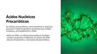 Ácidos Nucleicos
Procarióticos
As células procarióticas, como bactérias e arqueas,
possuem material genético composto por ácidos
nucleicos, principalmente o DNA.
Além do DNA, as células procarióticas também
contêm pequenas moléculas circulares de DNA
extracromossômico, chamadas de plasmídeos.
 
