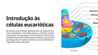Introdução às
células eucarióticas
As células eucarióticas representam os organismos
mais complexos, incluindo plantas, animais, fungos
e protistas. Elas possuem características únicas que
as diferenciam das células procarióticas, tais como a
presença de um núcleo celular e uma variedade de
organelas especializadas.
 
