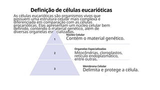 Definição de células eucarióticas
As células eucarióticas são organismos vivos que
possuem uma estrutura celular mais complexa e
diferenciada em comparação com as células
procarióticas. Elas apresentam um núcleo celular bem
definido, contendo o material genético, além de
diversas organelas especializadas.
1
Núcleo Celular
Contém o material genético.
2
Organelas Especializadas
Mitocôndrias, cloroplastos,
retículo endoplasmático,
entre outras.
3
Membrana Celular
Delimita e protege a célula.
 