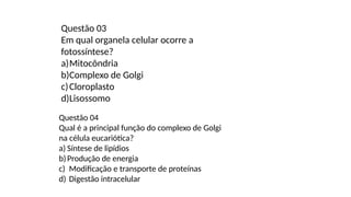 Questão 03
Em qual organela celular ocorre a
fotossíntese?
a)Mitocôndria
b)Complexo de Golgi
c)Cloroplasto
d)Lisossomo
Questão 04
Qual é a principal função do complexo de Golgi
na célula eucariótica?
a) Síntese de lipídios
b)Produção de energia
c) Modificação e transporte de proteínas
d) Digestão intracelular
 