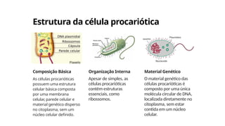 Estrutura da célula procariótica
Composição Básica
As células procarióticas
possuem uma estrutura
celular básica composta
por uma membrana
celular, parede celular e
material genético disperso
no citoplasma, sem um
núcleo celular definido.
Organização Interna
Apesar de simples, as
células procarióticas
contêm estruturas
essenciais, como
ribossomos.
Material Genético
O material genético das
células procarióticas é
composto por uma única
molécula circular de DNA,
localizada diretamente no
citoplasma, sem estar
contida em um núcleo
celular.
 