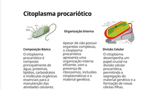 Citoplasma procariótico
Composição Básica
O citoplasma
procariótico é
composto
principalmente de
água, proteínas,
lipídios, carboidratos
e moléculas orgânicas
essenciais para a
manutenção das
atividades celulares.
Organização Interna
Apesar de não possuir
organelas complexas,
o citoplasma
procariótico
apresenta uma
organização interna
eficiente, com a
presença de
ribossomos, inclusões
citoplasmáticas e o
material genético.
Divisão Celular
O citoplasma
desempenha um
papel crucial na
divisão celular
procariótica,
permitindo a
segregação do
material genético e a
formação de novas
células filhas.
 