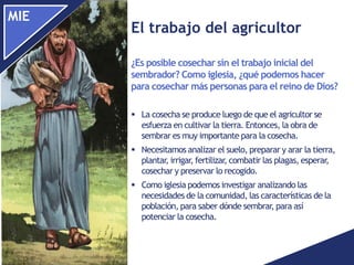 MIE
 La cosecha se produce luego de que el agricultor se
esfuerza en cultivar la tierra. Entonces, la obra de
sembrar es muy importante para la cosecha.
 Necesitamos analizar el suelo, preparar y arar la tierra,
plantar, irrigar, fertilizar, combatir las plagas, esperar,
cosechar y preservar lo recogido.
 Como iglesia podemos investigar analizando las
necesidades de la comunidad, las características de la
población, para saber dónde sembrar, para así
potenciar la cosecha.
¿Es posible cosechar sin el trabajo inicial del
sembrador? Como iglesia, ¿qué podemos hacer
para cosechar más personas para el reino de Dios?
El trabajo del agricultor
 