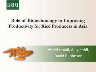 Role of Biotechnology in Improving
Productivity for Rice Producers in Asia
Abdel Ismail, Ajay Kohli,
David E Johnson
 