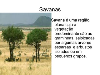 Savanas
   Savana é uma região
    plana cuja a
    vegetação
    predominante são as
    gramineas, salpicadas
    por algumas arvores
    esparsas e arbustos
    isolados ou em
    pequenos grupos.
 
