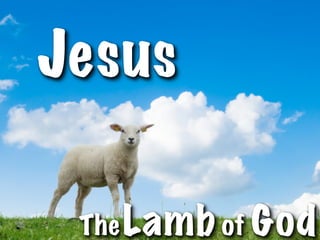 Jesus

 The Lamb of God
 