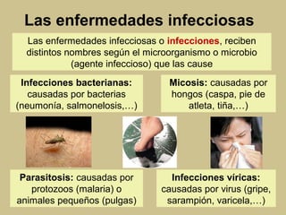 Las enfermedades infecciosas
Las enfermedades infecciosas o infecciones, reciben
distintos nombres según el microorganismo o microbio
(agente infeccioso) que las cause
Infecciones bacterianas:
causadas por bacterias
(neumonía, salmonelosis,…)
Micosis: causadas por
hongos (caspa, pie de
atleta, tiña,…)
Parasitosis: causadas por
protozoos (malaria) o
animales pequeños (pulgas)
Infecciones víricas:
causadas por virus (gripe,
sarampión, varicela,…)
 