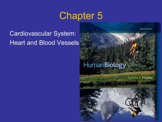Chapter 5
Cardiovascular System:
Heart and Blood Vessels
 