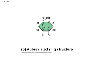 Fig. 5-4b
(b) Abbreviated ring structure
 