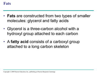 Fats
• Fats are constructed from two types of smaller
molecules: glycerol and fatty acids
• Glycerol is a three-carbon alcohol with a
hydroxyl group attached to each carbon
• A fatty acid consists of a carboxyl group
attached to a long carbon skeleton
Copyright © 2008 Pearson Education, Inc., publishing as Pearson Benjamin Cummings
 