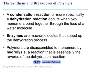 • A condensation reaction or more specifically
a dehydration reaction occurs when two
monomers bond together through the loss of a
water molecule
• Enzymes are macromolecules that speed up
the dehydration process
• Polymers are disassembled to monomers by
hydrolysis, a reaction that is essentially the
reverse of the dehydration reaction
The Synthesis and Breakdown of Polymers
Animation: Polymers
Copyright © 2008 Pearson Education, Inc., publishing as Pearson Benjamin Cummings
 
