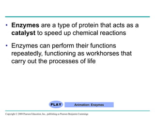 • Enzymes are a type of protein that acts as a
catalyst to speed up chemical reactions
• Enzymes can perform their functions
repeatedly, functioning as workhorses that
carry out the processes of life
Animation: Enzymes
Copyright © 2008 Pearson Education, Inc., publishing as Pearson Benjamin Cummings
 