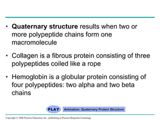 • Quaternary structure results when two or
more polypeptide chains form one
macromolecule
• Collagen is a fibrous protein consisting of three
polypeptides coiled like a rope
• Hemoglobin is a globular protein consisting of
four polypeptides: two alpha and two beta
chains
Animation: Quaternary Protein Structure
Copyright © 2008 Pearson Education, Inc., publishing as Pearson Benjamin Cummings
 