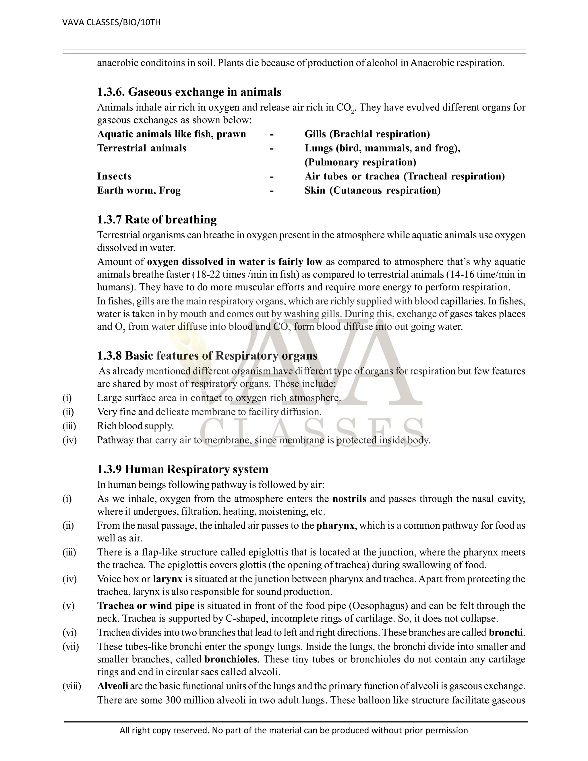 anaerobic conditoins in soil. Plants die because of production of alcohol inAnaerobic respiration.
1.3.6. Gaseous exchange in animals
Animals inhale air rich in oxygen and release air rich in CO2
. They have evolved different organs for
gaseous exchanges as shown below:
Aquatic animals like fish, prawn - Gills (Brachial respiration)
Terrestrial animals - Lungs (bird, mammals, and frog),
(Pulmonary respiration)
Insects - Air tubes or trachea (Tracheal respiration)
Earth worm, Frog - Skin (Cutaneous respiration)
1.3.7 Rate of breathing
Terrestrial organisms can breathe in oxygen present in the atmosphere while aquatic animals use oxygen
dissolved in water.
Amount of oxygen dissolved in water is fairly low as compared to atmosphere that’s why aquatic
animals breathe faster (18-22 times /min in fish) as compared to terrestrial animals (14-16 time/min in
humans). They have to do more muscular efforts and require more energy to perform respiration.
In fishes, gills are the main respiratory organs, which are richly supplied with blood capillaries. In fishes,
water is taken in by mouth and comes out by washing gills. During this, exchange of gases takes places
and O2
from water diffuse into blood and CO2
form blood diffuse into out going water.
1.3.8 Basic features of Respiratory organs
As already mentioned different organism have different type of organs for respiration but few features
are shared by most of respiratory organs. These include:
(i) Large surface area in contact to oxygen rich atmosphere.
(ii) Very fine and delicate membrane to facility diffusion.
(iii) Rich blood supply.
(iv) Pathway that carry air to membrane, since membrane is protected inside body.
1.3.9 Human Respiratory system
In human beings following pathway is followed by air:
(i) As we inhale, oxygen from the atmosphere enters the nostrils and passes through the nasal cavity,
where it undergoes, filtration, heating, moistening, etc.
(ii) From the nasal passage, the inhaled air passes to the pharynx, which is a common pathway for food as
well as air.
(iii) There is a flap-like structure called epiglottis that is located at the junction, where the pharynx meets
the trachea. The epiglottis covers glottis (the opening of trachea) during swallowing of food.
(iv) Voice box or larynx is situated at the junction between pharynx and trachea.Apart from protecting the
trachea, larynx is also responsible for sound production.
(v) Trachea or wind pipe is situated in front of the food pipe (Oesophagus) and can be felt through the
neck. Trachea is supported by C-shaped, incomplete rings of cartilage. So, it does not collapse.
(vi) Trachea divides into two branches that lead to left and right directions.These branches are called bronchi.
(vii) These tubes-like bronchi enter the spongy lungs. Inside the lungs, the bronchi divide into smaller and
smaller branches, called bronchioles. These tiny tubes or bronchioles do not contain any cartilage
rings and end in circular sacs called alveoli.
(viii) Alveoli are the basic functional units of the lungs and the primary function of alveoli is gaseous exchange.
There are some 300 million alveoli in two adult lungs. These balloon like structure facilitate gaseous
VAVA CLASSES/BIO/10TH
All right copy reserved. No part of the material can be produced without prior permission
 