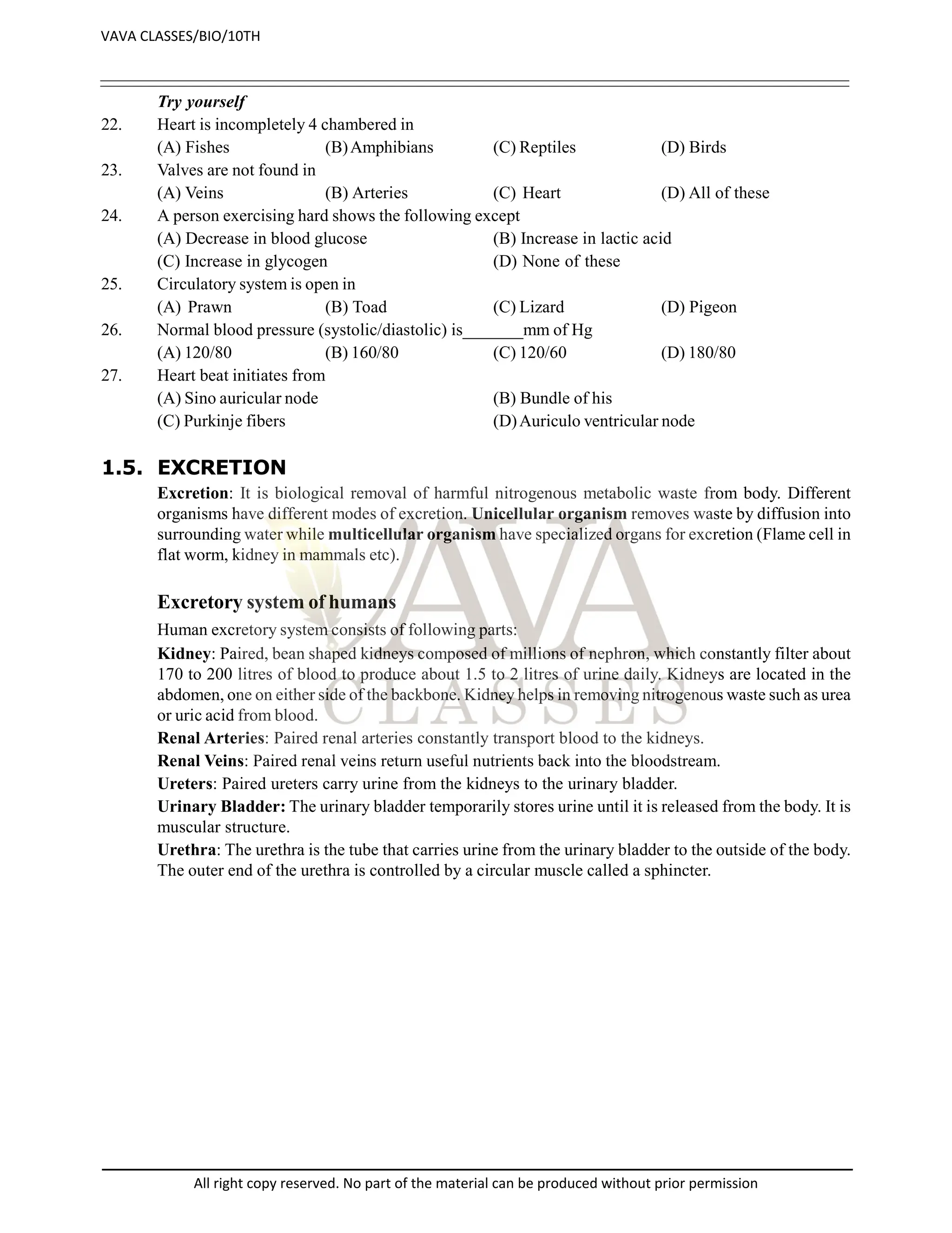 Try yourself
22. Heart is incompletely 4 chambered in
(A) Fishes (B)Amphibians (C) Reptiles (D) Birds
23. Valves are not found in
(A) Veins (B) Arteries (C) Heart (D) All of these
24. A person exercising hard shows the following except
(A) Decrease in blood glucose (B) Increase in lactic acid
(C) Increase in glycogen (D) None of these
25. Circulatory system is open in
(A) Prawn (B) Toad (C) Lizard (D) Pigeon
26. Normal blood pressure (systolic/diastolic) is_______mm of Hg
(A) 120/80 (B) 160/80 (C) 120/60 (D) 180/80
27. Heart beat initiates from
(A) Sino auricular node (B) Bundle of his
(C) Purkinje fibers (D)Auriculo ventricular node
1.5. EXCRETION
Excretion: It is biological removal of harmful nitrogenous metabolic waste from body. Different
organisms have different modes of excretion. Unicellular organism removes waste by diffusion into
surrounding water while multicellular organism have specialized organs for excretion (Flame cell in
flat worm, kidney in mammals etc).
Excretory system of humans
Human excretory system consists of following parts:
Kidney: Paired, bean shaped kidneys composed of millions of nephron, which constantly filter about
170 to 200 litres of blood to produce about 1.5 to 2 litres of urine daily. Kidneys are located in the
abdomen, one on either side of the backbone. Kidney helps in removing nitrogenous waste such as urea
or uric acid from blood.
Renal Arteries: Paired renal arteries constantly transport blood to the kidneys.
Renal Veins: Paired renal veins return useful nutrients back into the bloodstream.
Ureters: Paired ureters carry urine from the kidneys to the urinary bladder.
Urinary Bladder: The urinary bladder temporarily stores urine until it is released from the body. It is
muscular structure.
Urethra: The urethra is the tube that carries urine from the urinary bladder to the outside of the body.
The outer end of the urethra is controlled by a circular muscle called a sphincter.
VAVA CLASSES/BIO/10TH
All right copy reserved. No part of the material can be produced without prior permission
 