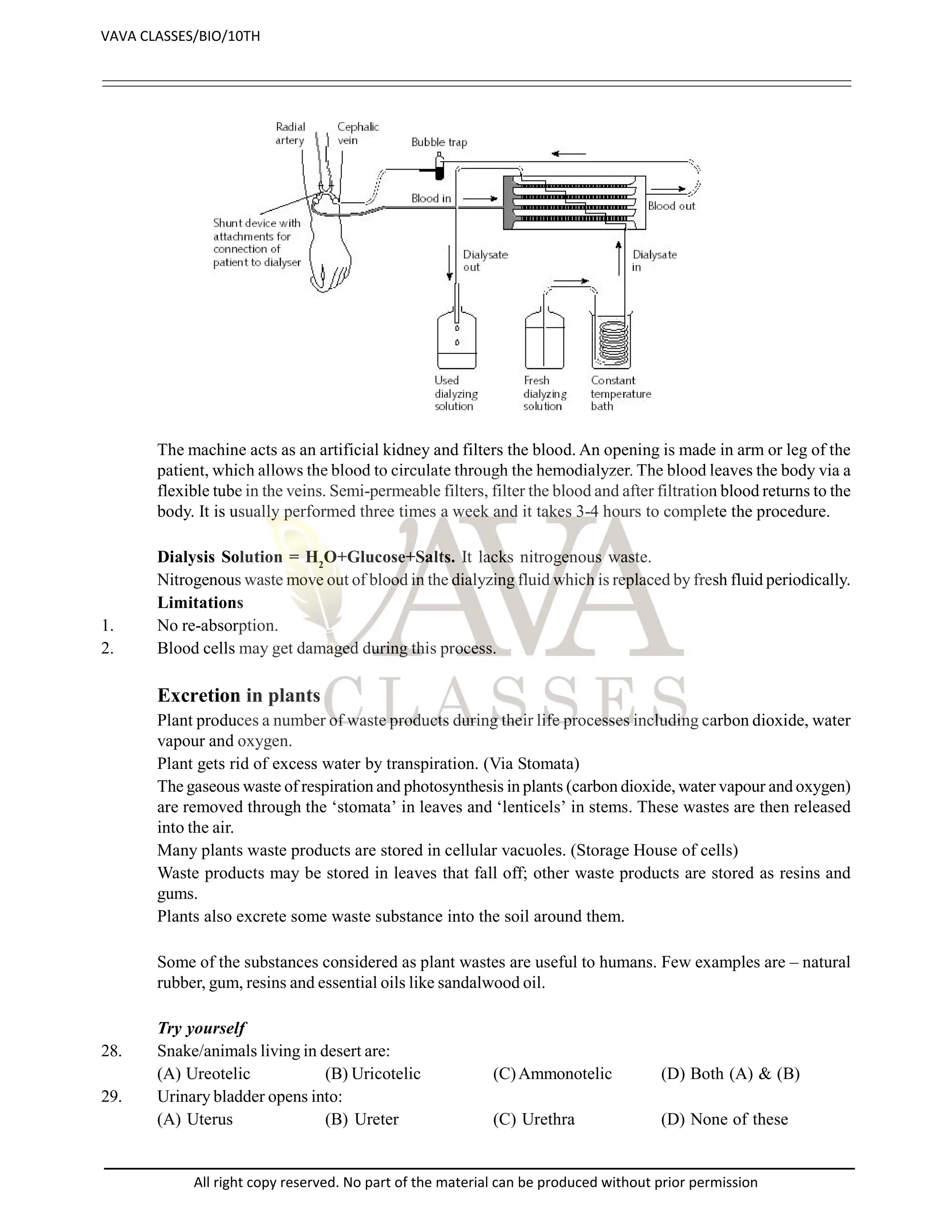 The machine acts as an artificial kidney and filters the blood. An opening is made in arm or leg of the
patient, which allows the blood to circulate through the hemodialyzer. The blood leaves the body via a
flexible tube in the veins. Semi-permeable filters, filter the blood and after filtration blood returns to the
body. It is usually performed three times a week and it takes 3-4 hours to complete the procedure.
Dialysis Solution = H2
O+Glucose+Salts. It lacks nitrogenous waste.
Nitrogenous waste move out of blood in the dialyzing fluid which is replaced by fresh fluid periodically.
Limitations
1. No re-absorption.
2. Blood cells may get damaged during this process.
Excretion in plants
Plant produces a number of waste products during their life processes including carbon dioxide, water
vapour and oxygen.
Plant gets rid of excess water by transpiration. (Via Stomata)
The gaseous waste of respiration and photosynthesis in plants (carbon dioxide, water vapour and oxygen)
are removed through the ‘stomata’ in leaves and ‘lenticels’ in stems. These wastes are then released
into the air.
Many plants waste products are stored in cellular vacuoles. (Storage House of cells)
Waste products may be stored in leaves that fall off; other waste products are stored as resins and
gums.
Plants also excrete some waste substance into the soil around them.
Some of the substances considered as plant wastes are useful to humans. Few examples are – natural
rubber, gum, resins and essential oils like sandalwood oil.
Try yourself
28. Snake/animals living in desert are:
(A) Ureotelic (B) Uricotelic (C)Ammonotelic (D) Both (A) & (B)
29. Urinary bladder opens into:
(A) Uterus (B) Ureter (C) Urethra (D) None of these
VAVA CLASSES/BIO/10TH
All right copy reserved. No part of the material can be produced without prior permission
 
