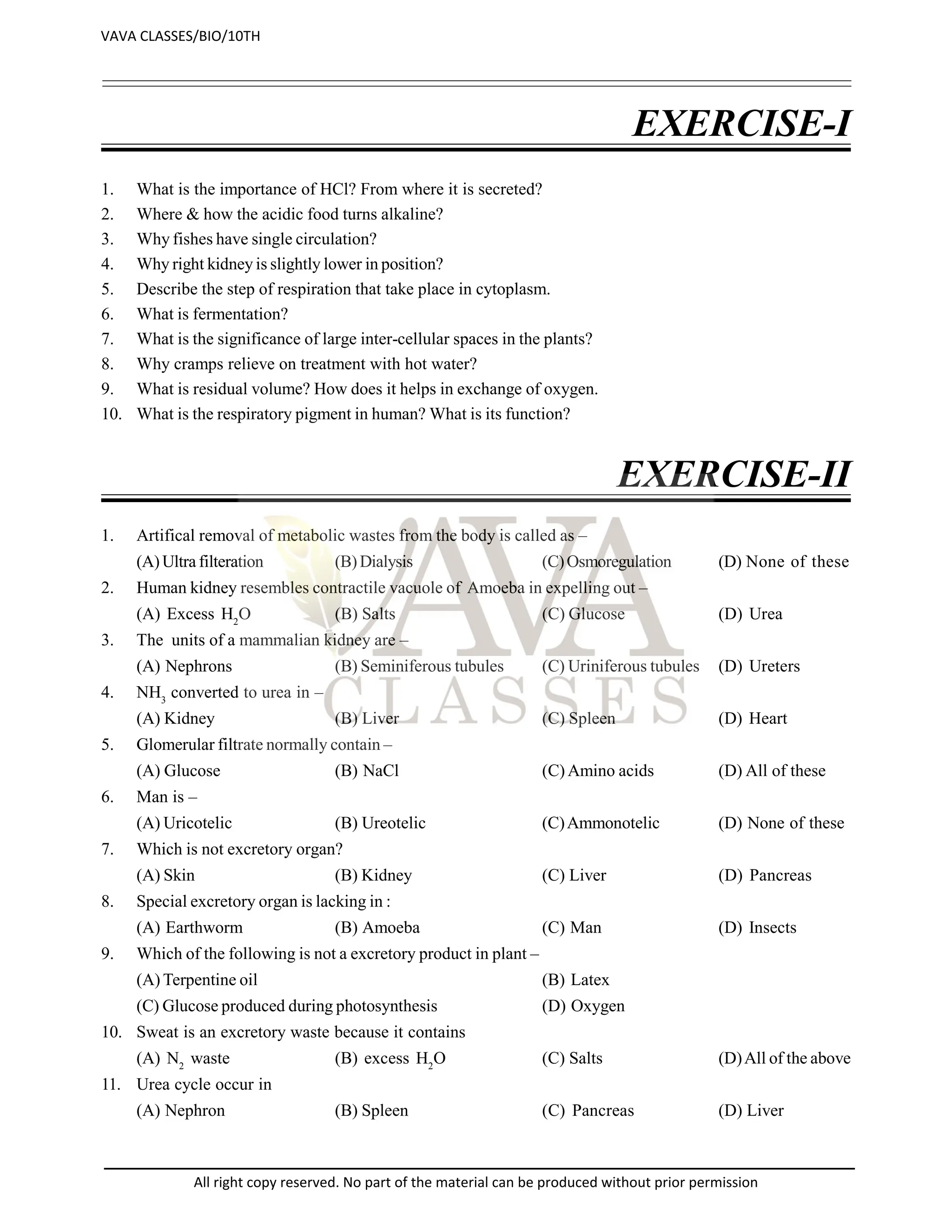 EXERCISE-I
1. What is the importance of HCl? From where it is secreted?
2. Where & how the acidic food turns alkaline?
3. Why fishes have single circulation?
4. Why right kidney is slightly lower in position?
5. Describe the step of respiration that take place in cytoplasm.
6. What is fermentation?
7. What is the significance of large inter-cellular spaces in the plants?
8. Why cramps relieve on treatment with hot water?
9. What is residual volume? How does it helps in exchange of oxygen.
10. What is the respiratory pigment in human? What is its function?
EXERCISE-II
1. Artifical removal of metabolic wastes from the body is called as –
(A)Ultra filteration (B)Dialysis (C)Osmoregulation (D) None of these
2. Human kidney resembles contractile vacuole of Amoeba in expelling out –
(A) Excess H2
O (B) Salts (C) Glucose (D) Urea
3. The units of a mammalian kidney are –
(A) Nephrons (B) Seminiferous tubules (C) Uriniferous tubules (D) Ureters
4. NH3
converted to urea in –
(A) Kidney (B) Liver (C) Spleen (D) Heart
5. Glomerular filtrate normally contain –
(A) Glucose (B) NaCl (C) Amino acids (D) All of these
6. Man is –
(A) Uricotelic (B) Ureotelic (C)Ammonotelic (D) None of these
7. Which is not excretory organ?
(A) Skin (B) Kidney (C) Liver (D) Pancreas
8. Special excretory organ is lacking in :
(A) Earthworm (B) Amoeba (C) Man (D) Insects
9. Which of the following is not a excretory product in plant –
(A) Terpentine oil (B) Latex
(C) Glucose produced during photosynthesis (D) Oxygen
10. Sweat is an excretory waste because it contains
(A) N2
waste (B) excess H2
O (C) Salts (D)All of the above
11. Urea cycle occur in
(A) Nephron (B) Spleen (C) Pancreas (D) Liver
VAVA CLASSES/BIO/10TH
All right copy reserved. No part of the material can be produced without prior permission
 