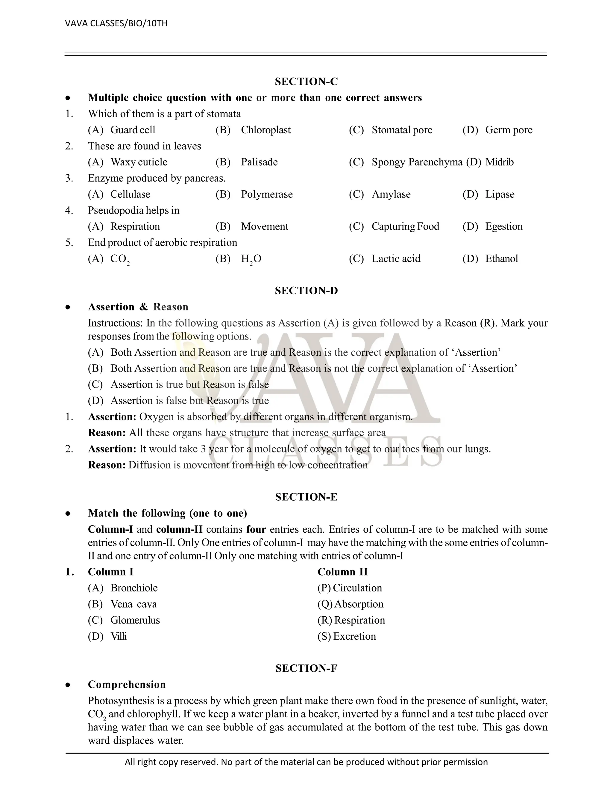 SECTION-C
 Multiple choice question with one or more than one correct answers
1. Which of them is a part of stomata
(A) Guard cell (B) Chloroplast (C) Stomatal pore (D) Germ pore
2. These are found in leaves
(A) Waxy cuticle (B) Palisade (C) Spongy Parenchyma (D) Midrib
3. Enzyme produced by pancreas.
(A) Cellulase (B) Polymerase (C) Amylase (D) Lipase
4. Pseudopodia helps in
(A) Respiration (B) Movement (C) Capturing Food (D) Egestion
5. End product of aerobic respiration
(A) CO2
(B) H2
O (C) Lactic acid (D) Ethanol
SECTION-D
 Assertion & Reason
Instructions: In the following questions as Assertion (A) is given followed by a Reason (R). Mark your
responses from the following options.
(A) Both Assertion and Reason are true and Reason is the correct explanation of ‘Assertion’
(B) Both Assertion and Reason are true and Reason is not the correct explanation of ‘Assertion’
(C) Assertion is true but Reason is false
(D) Assertion is false but Reason is true
1. Assertion: Oxygen is absorbed by different organs in different organism.
Reason: All these organs have structure that increase surface area
2. Assertion: It would take 3 year for a molecule of oxygen to get to our toes from our lungs.
Reason: Diffusion is movement from high to low concentration
SECTION-E
 Match the following (one to one)
Column-I and column-II contains four entries each. Entries of column-I are to be matched with some
entries of column-II. Only One entries of column-I may have the matching with the some entries of column-
II and one entry of column-II Only one matching with entries of column-I
1. Column I Column II
(A) Bronchiole (P) Circulation
(B) Vena cava (Q)Absorption
(C) Glomerulus (R) Respiration
(D) Villi (S) Excretion
SECTION-F
 Comprehension
Photosynthesis is a process by which green plant make there own food in the presence of sunlight, water,
CO2
and chlorophyll. If we keep a water plant in a beaker, inverted by a funnel and a test tube placed over
having water than we can see bubble of gas accumulated at the bottom of the test tube. This gas down
ward displaces water.
VAVA CLASSES/BIO/10TH
All right copy reserved. No part of the material can be produced without prior permission
 