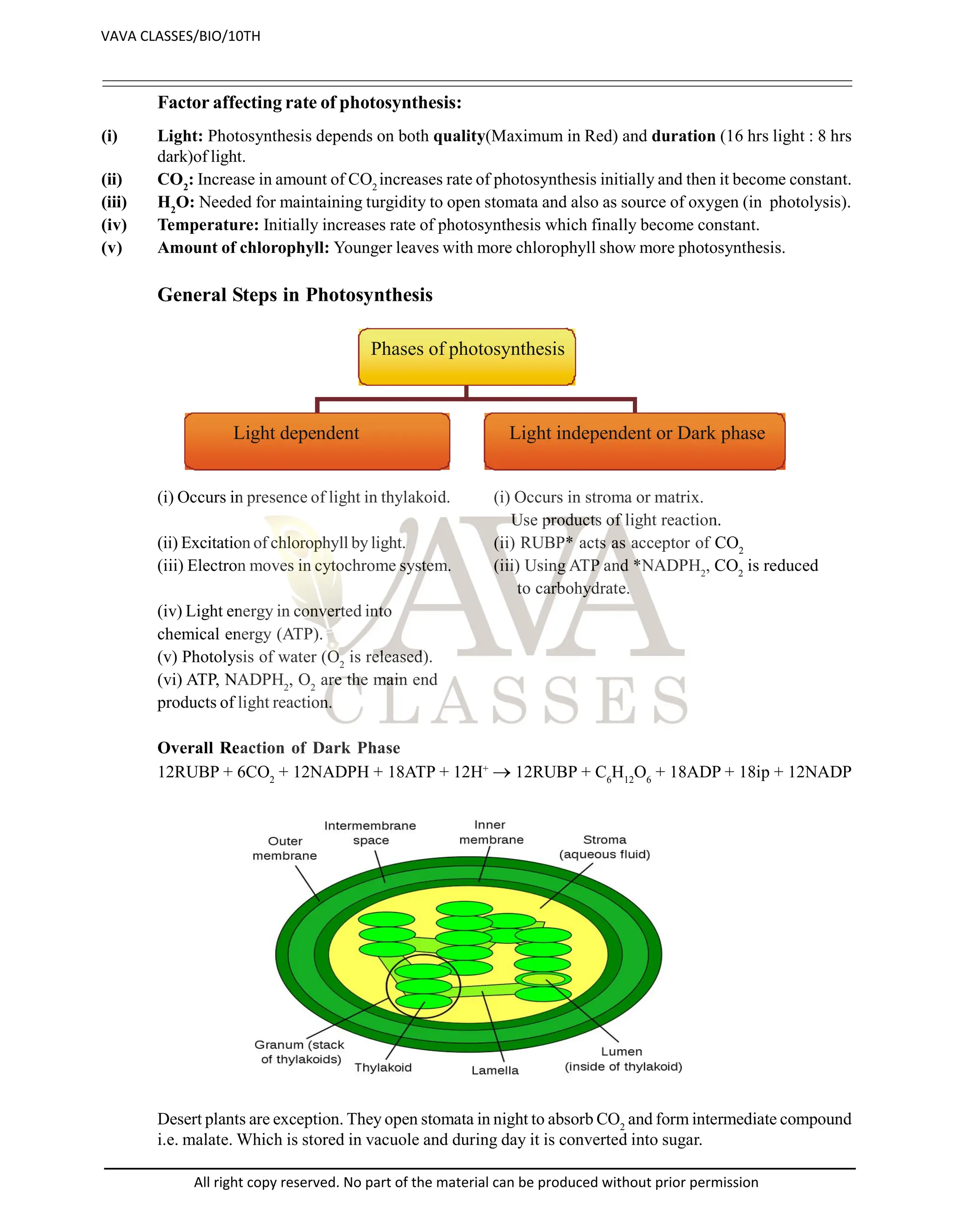 Factor affecting rate of photosynthesis:
(i) Light: Photosynthesis depends on both quality(Maximum in Red) and duration (16 hrs light : 8 hrs
dark)of light.
(ii) CO2
: Increase in amount of CO2
increases rate of photosynthesis initially and then it become constant.
(iii) H2
O: Needed for maintaining turgidity to open stomata and also as source of oxygen (in photolysis).
(iv) Temperature: Initially increases rate of photosynthesis which finally become constant.
(v) Amount of chlorophyll: Younger leaves with more chlorophyll show more photosynthesis.
General Steps in Photosynthesis
Phases of photosynthesis
Light dependent Light independent or Dark phase
(i) Occurs in presence of light in thylakoid. (i) Occurs in stroma or matrix.
Use products of light reaction.
(ii) Excitation of chlorophyll by light. (ii) RUBP* acts as acceptor of CO2
(iii) Electron moves in cytochrome system. (iii) Using ATP and *NADPH2
, CO2
is reduced
to carbohydrate.
(iv) Light energy in converted into
chemical energy (ATP).
(v) Photolysis of water (O2
is released).
(vi) ATP, NADPH2
, O2
are the main end
products of light reaction.
Overall Reaction of Dark Phase
12RUBP + 6CO2
+ 12NADPH + 18ATP + 12H+
 12RUBP + C6
H12
O6
+ 18ADP + 18ip + 12NADP
Desert plants are exception. They open stomata in night to absorb CO2
and form intermediate compound
i.e. malate. Which is stored in vacuole and during day it is converted into sugar.
VAVA CLASSES/BIO/10TH
All right copy reserved. No part of the material can be produced without prior permission
 