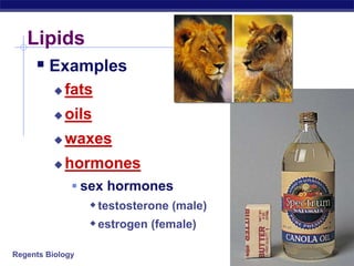 Regents Biology 2003-2004
Lipids
 Examples
 fats
 oils
 waxes
 hormones
 sex hormones
testosterone (male)
estrogen...