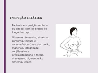 INSPEÇÃO ESTÁTICA
Paciente em posição sentada
ou em pé, com os braços ao
longo do corpo
Observar: tamanho, simetria,
contorno, textura e
características( vascularização,
manchas, integridade,
cor)Mamilos e
aréolas:tamanho e forma,
drenagens, pigmentação,
simetria, lesões
 
