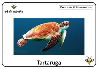 Exercícios Multissensoriais
Tartaruga
 