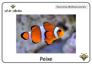 Exercícios Multissensoriais
Peixe
 