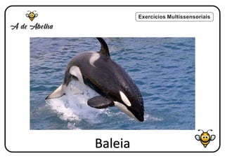 Exercícios Multissensoriais
Baleia
 