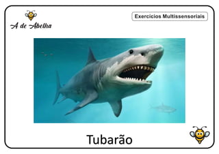 Exercícios Multissensoriais
Tubarão
 