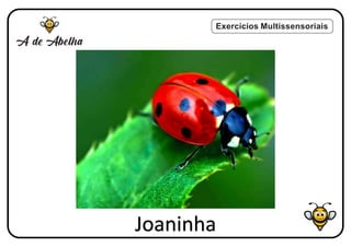 Exercícios Multissensoriais
Joaninha
 