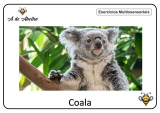 Exercícios Multissensoriais
Coala
 