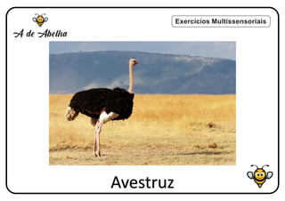 Exercícios Multissensoriais
Avestruz
 