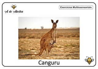 Exercícios Multissensoriais
Canguru
 