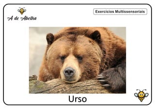 Exercícios Multissensoriais
Urso
 