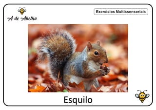 Exercícios Multissensoriais
Esquilo
 