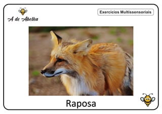 Exercícios Multissensoriais
Raposa
 