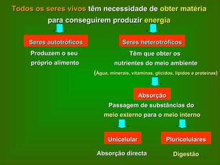 Todos os seres vivos  têm necessidade de  obter matéria  para conseguirem produzir  energia Seres autotróficos Seres heterotróficos Produzem o seu  próprio alimento Têm que obter os  nutrientes do meio ambiente ( Água, minerais, vitaminas, glícidos, lípidos e proteínas ) Absorção Passagem de substâncias do  meio externo  para o  meio interno Unicelular Pluricelulares Absorção directa Digestão 