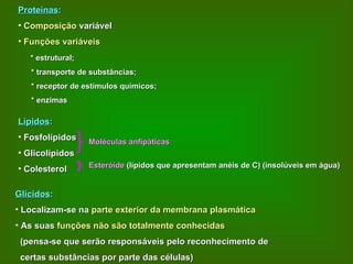 Proteínas : Composição  variável Funções variáveis * estrutural; * transporte de substâncias; * receptor de estímulos químicos; * enzimas Lípidos : Fosfolípidos Glicolípidos Colesterol Moléculas anfipáticas Esteróide  (lípidos que apresentam anéis de C) (insolúveis em água) Glícidos : Localizam-se na  parte exterior da membrana plasmática As suas  funções   não são totalmente conhecidas (pensa-se que serão responsáveis pelo reconhecimento de  certas substâncias por parte das células) 