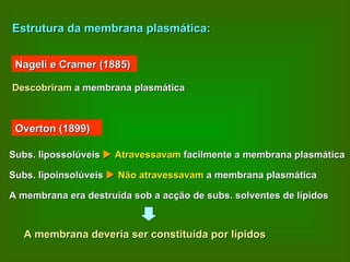 Estrutura da membrana plasmática: Nageli e Cramer (1885) Descobriram  a membrana plasmática Overton (1899) A membrana deveria ser constituída por lípidos Subs. lipossolúveis     Atravessavam  facilmente a membrana plasmática Subs. lipoinsolúveis     Não atravessavam  a membrana plasmática A membrana era destruída sob a acção de subs. solventes de lípidos 
