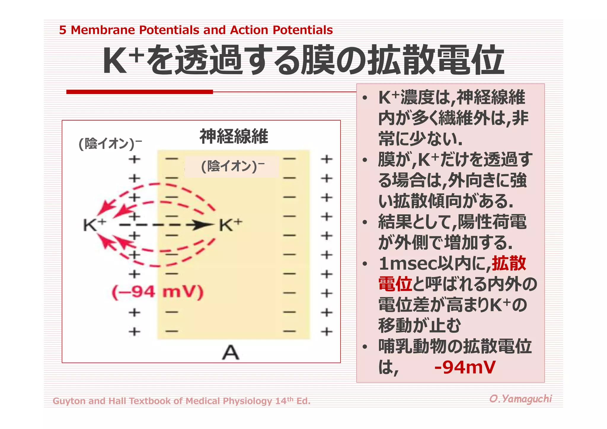 05 membrane potentials and action potentials | PDF