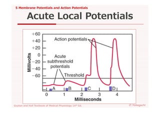 05 membrane potentials and action potentials | PDF