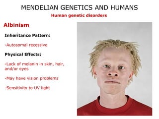 MENDELIAN GENETICS AND HUMANS
                           Human genetic disorders

Albinism
Inheritance Pattern:

-Autosomal recessive

Physical Effects:

-Lack of melanin in skin, hair,
and/or eyes

-May have vision problems

-Sensitivity to UV light
 