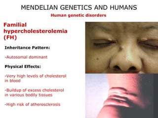 MENDELIAN GENETICS AND HUMANS
                        Human genetic disorders

Familial
hypercholesterolemia
(FH)
Inheritance Pattern:

-Autosomal dominant

Physical Effects:

-Very high levels of cholesterol
in blood

-Buildup of excess cholesterol
in various bodily tissues

-High risk of atherosclerosis
 
