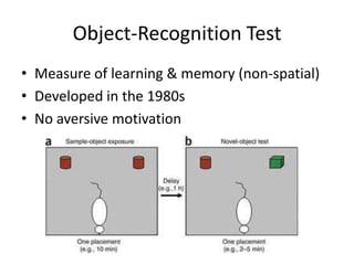 Object Remember Test Neuropharmacology: Methods | PPTX