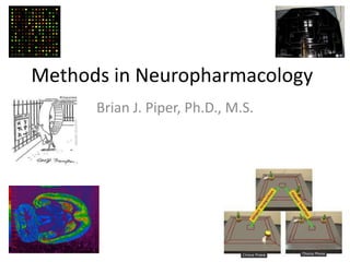 Methods in Neuropharmacology
      Brian J. Piper, Ph.D., M.S.
 