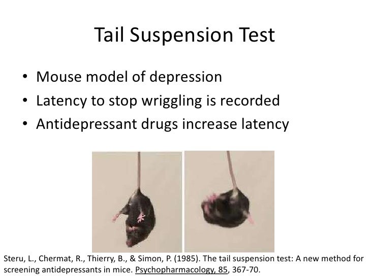 Neuropharmacology Methods