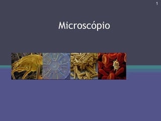 Microscópio CLUBE DE CIÊNCIAS Prof.Teresa Condeixa 0809 